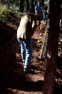 Pine/Strawberry Trails Workday