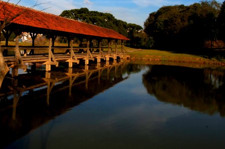 RenatoSoares Parque do Tingui Curitiba PR