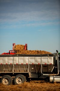 20181008-KS-Reclamation-0075