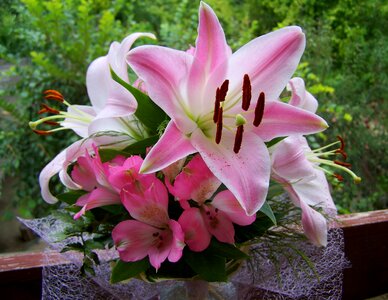 Flower bouquet pink lilies cut flower photo