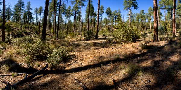 Near Senator Hwy.