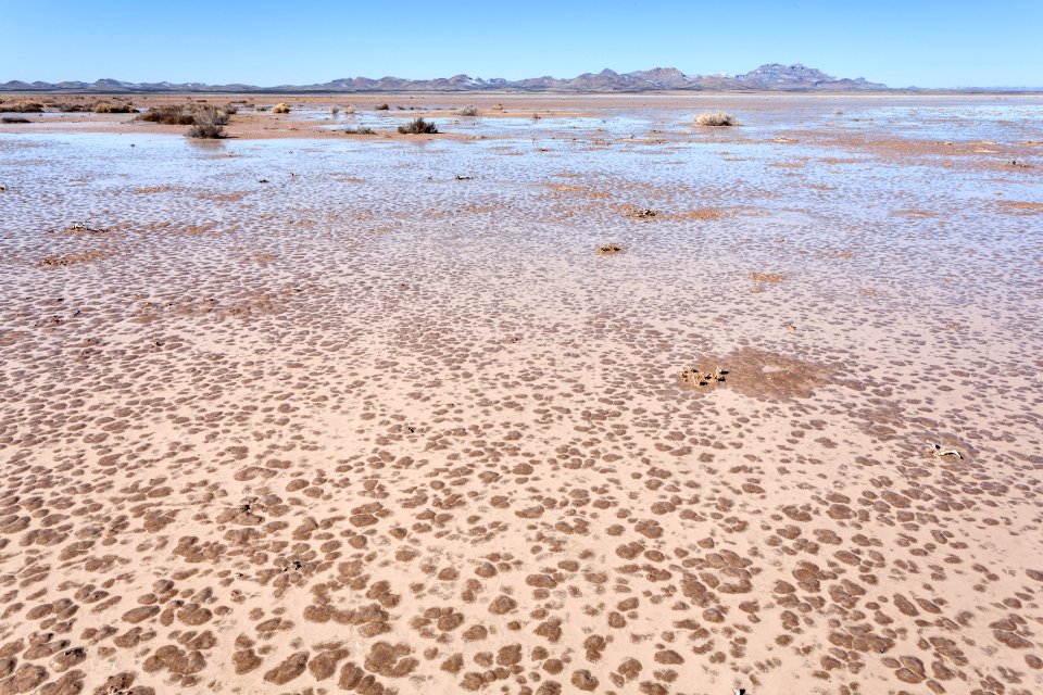 Lordsburg Playa