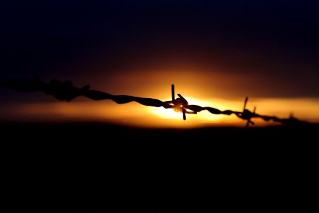 Bound for Light