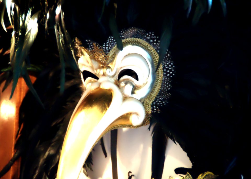 Venetian Carnival Mask - Maschera di Carnevale - Venice Italy - Creative Commons by gnuckx