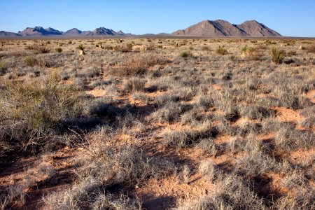 Jornada Experimental Range