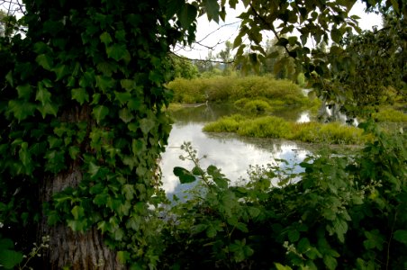 20120106-OC-AMW-0186