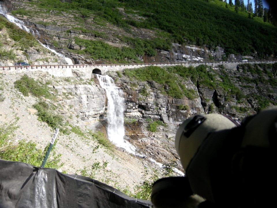 Black Swift nest with egg, Glacier NP, July 5, 2012