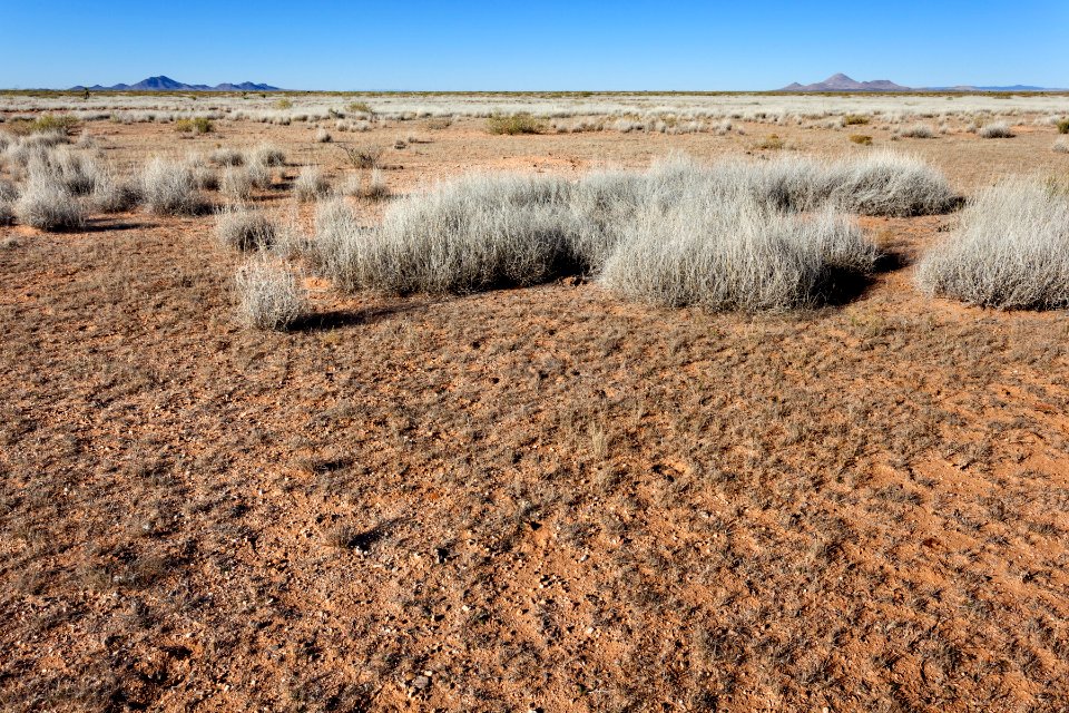 Plains west of Deming