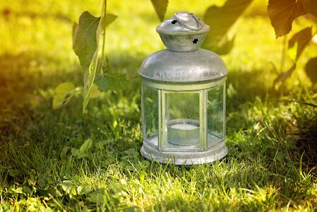 Grass green nature