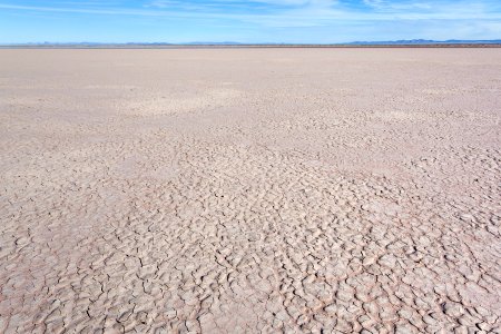 Northern Lordsburg Playa