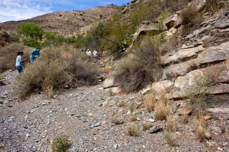 Salt Canyon