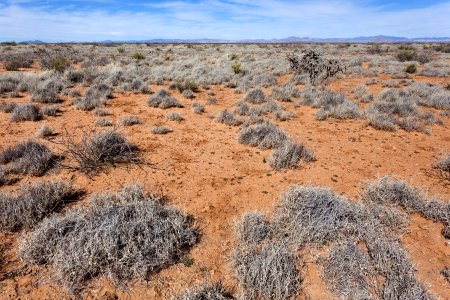 Near Jones Spring Draw