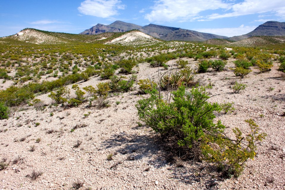South end of the Caballo Mountains