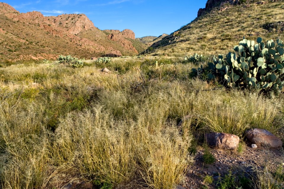 Owl Canyon
