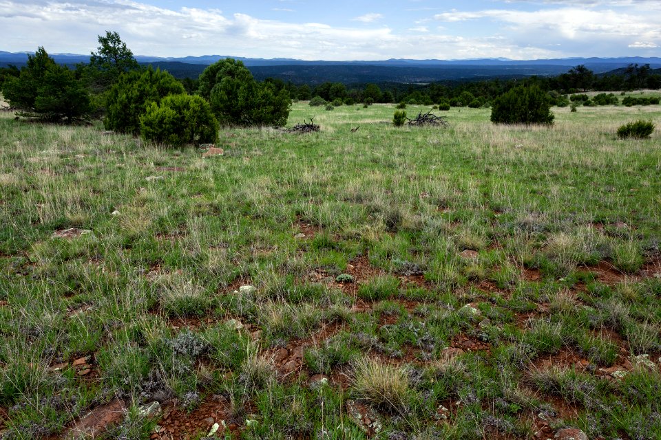 Kemp Mesa