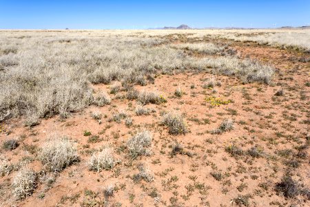 Near Chandler Draw