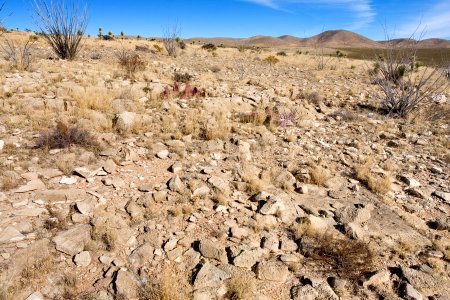 Northeastern Otero Mesa