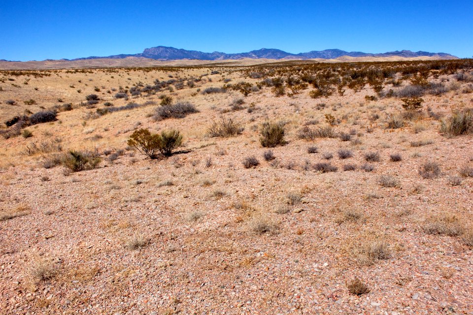 South of Nogal Peak