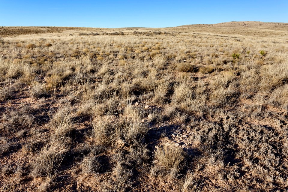 Near Salt Creek