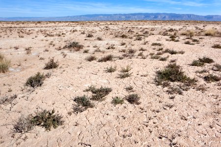 North of Twin Buttes