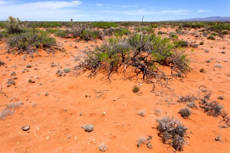 East-northeast of Jornada Lakes