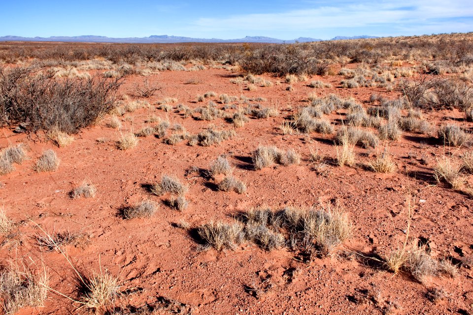 Jornada del Muerto Plain about 19 miles southeast of Truth or Consequences