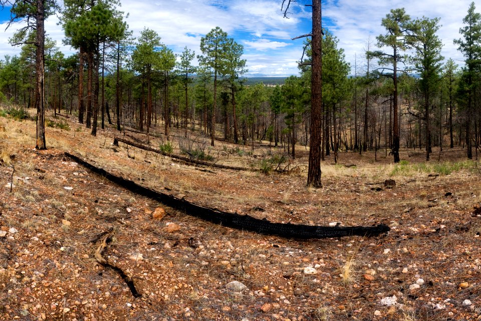 Continental Divide Trail