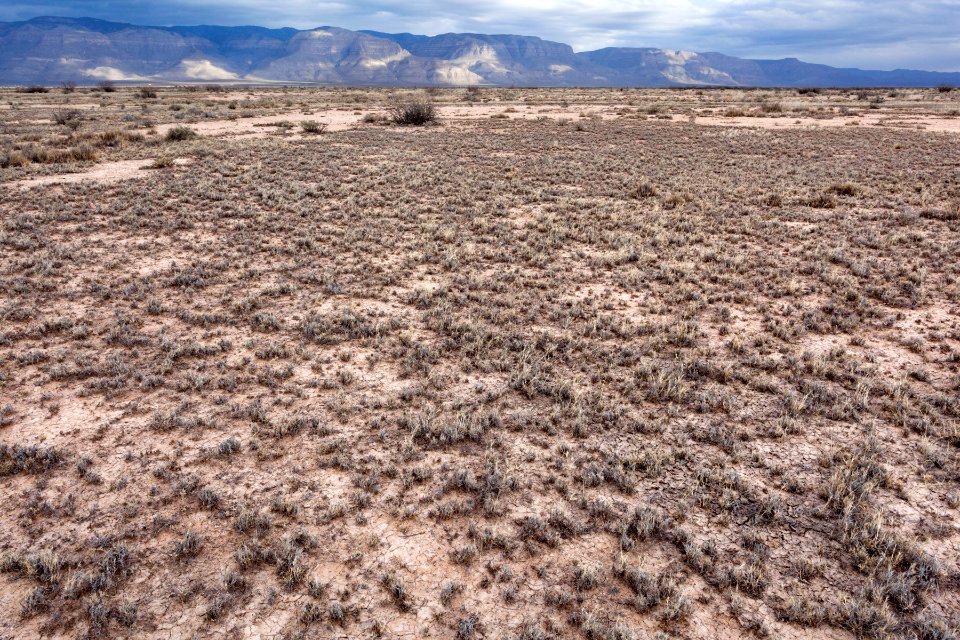 Northeast of Twin Buttes