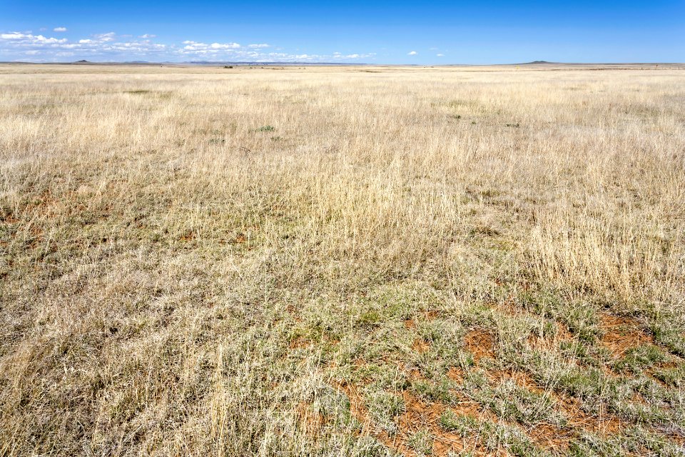 Near Yates