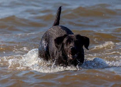 20170828 OldHunstantonBeach 0279