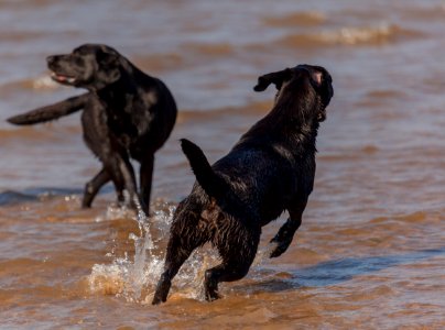 20170828 OldHunstantonBeach 0171
