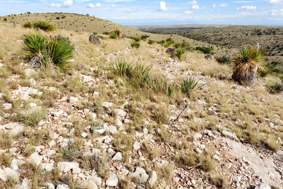 Southwest of Moccasin Draw