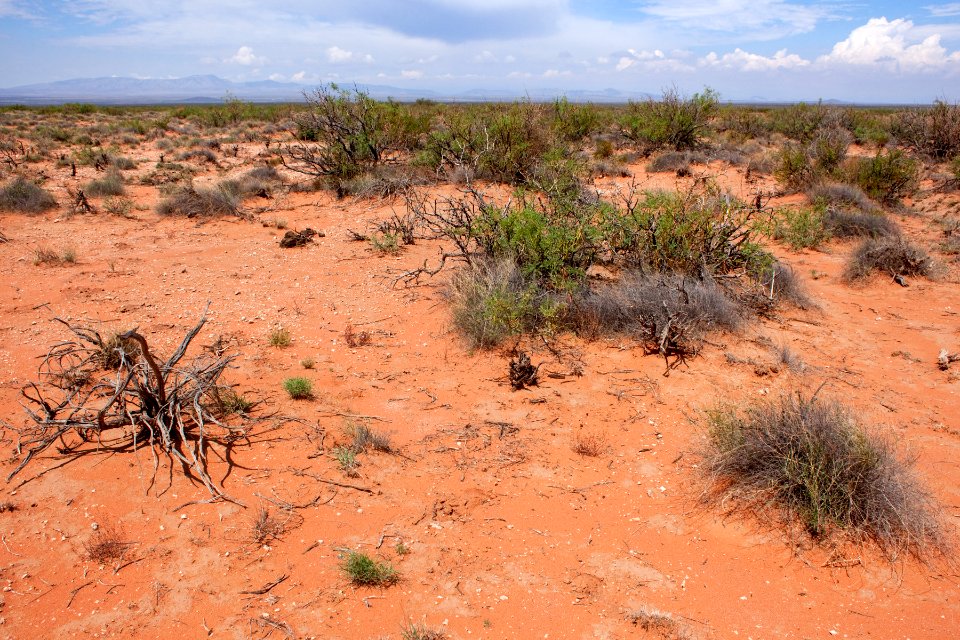 Jornada del Muerto Plain