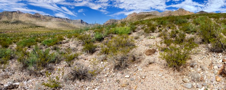 Hembrillo Canyon photo