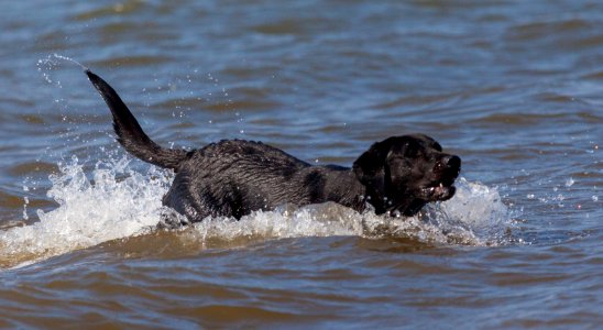 20170828 OldHunstantonBeach 0261