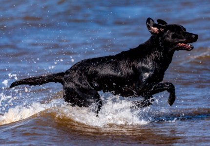20170828 OldHunstantonBeach 0267