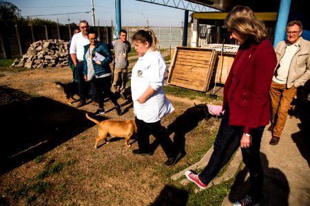 28.08.2019 - Prefeita Paula Mascarenhas em visita ao Canil Municipal, a convite do Comupa - Foto: Gustavo Vara