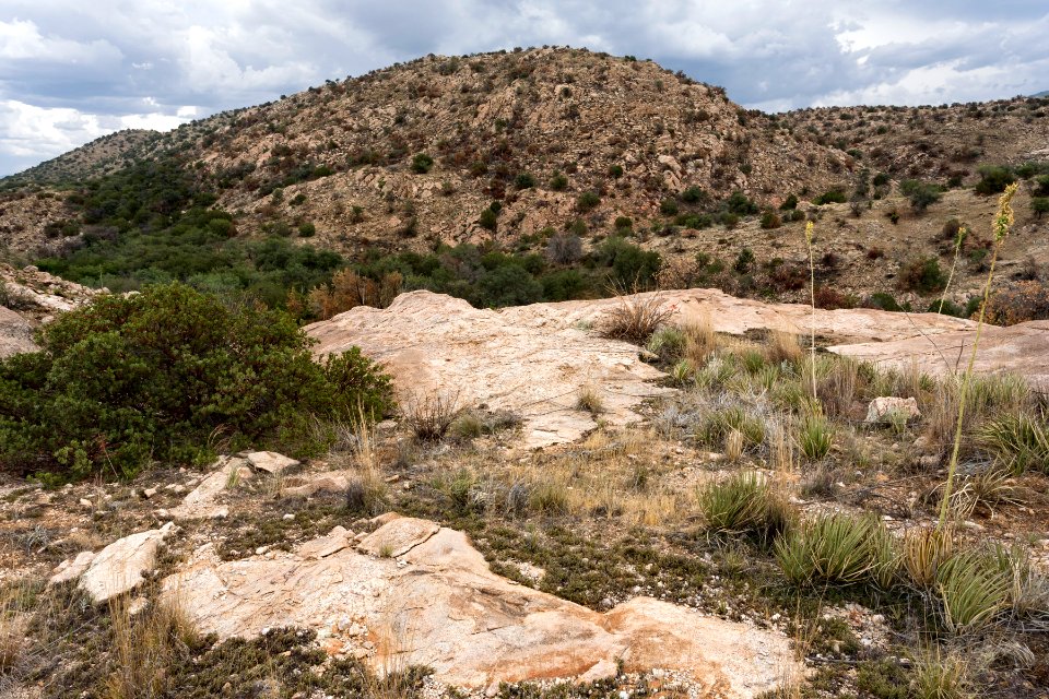 Near Tanque Verde