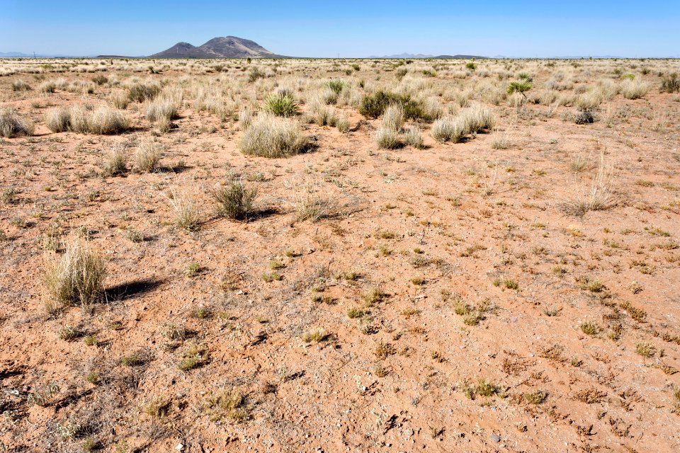Near Goat Ridge