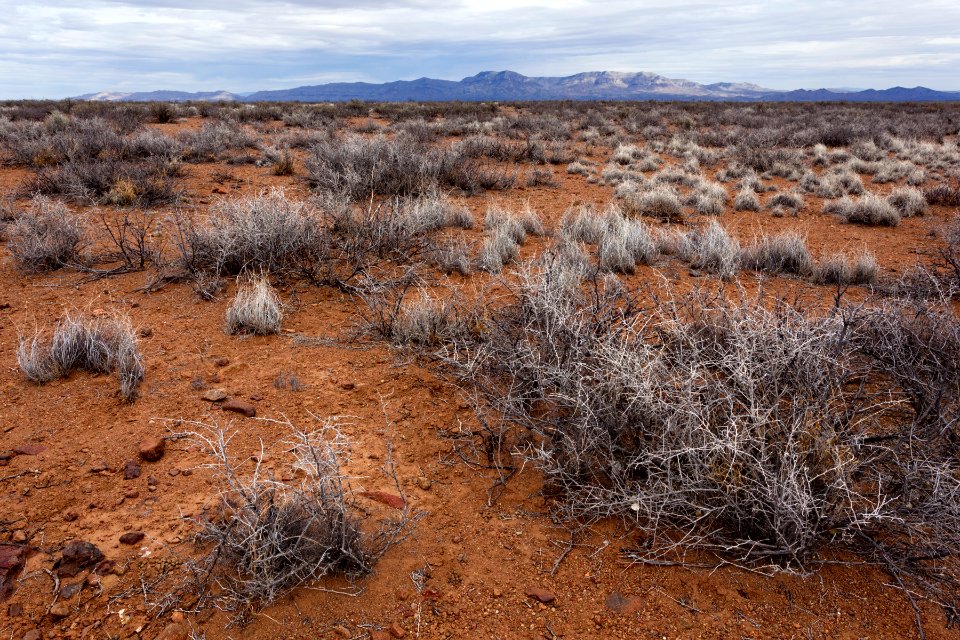 Near Greenhorn Arroyo