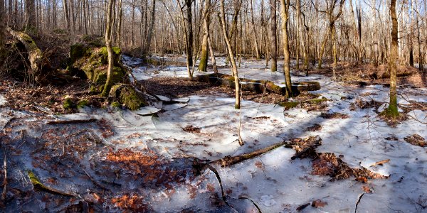White River floodplain