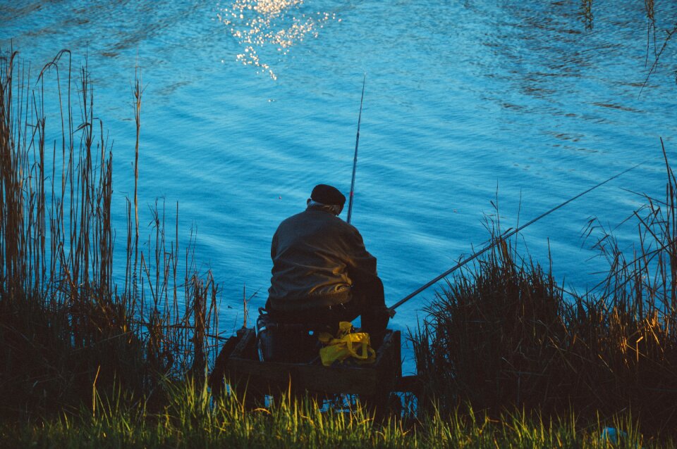 Nature water fishing rod photo