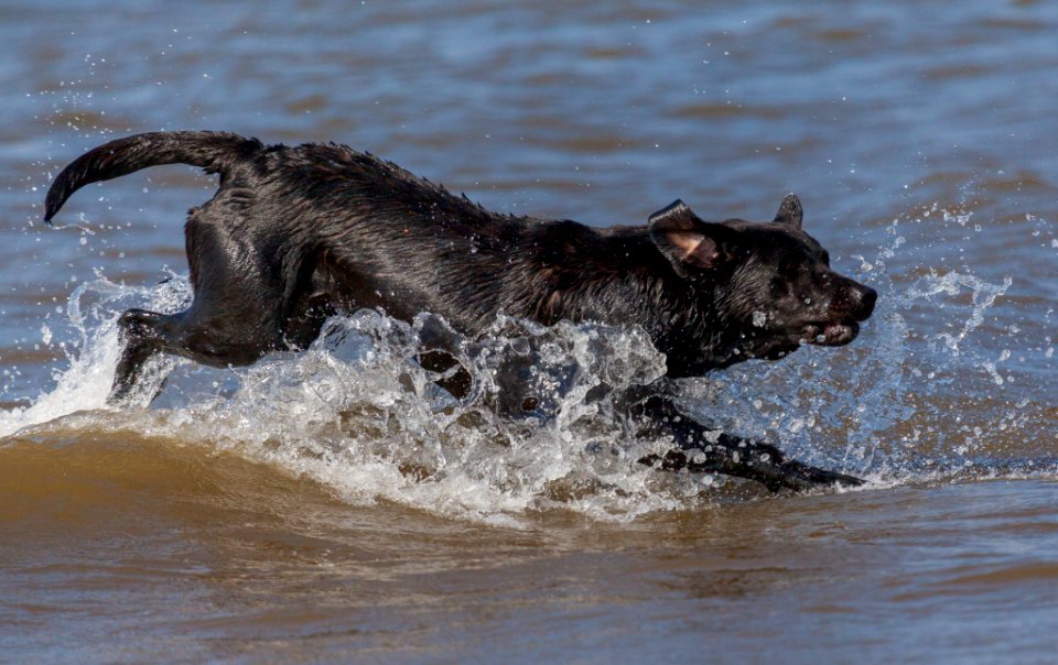20170828 OldHunstantonBeach 0265