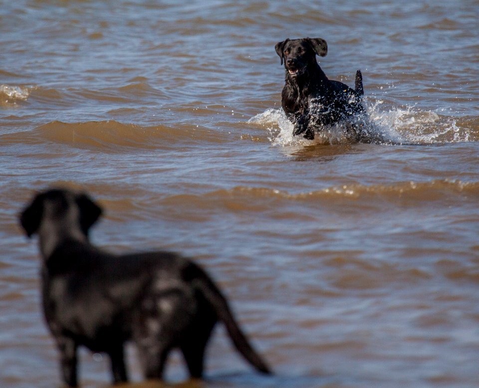 20170828 OldHunstantonBeach 0145