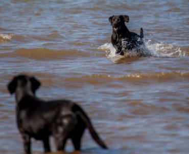 20170828 OldHunstantonBeach 0145