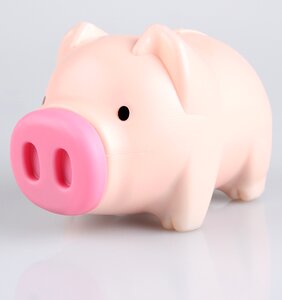 Pig piggy bank the money bin
