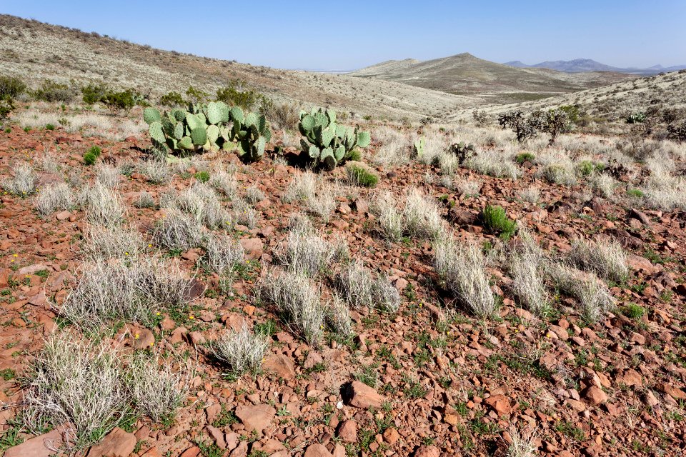 Southeastern Cedar Mountains