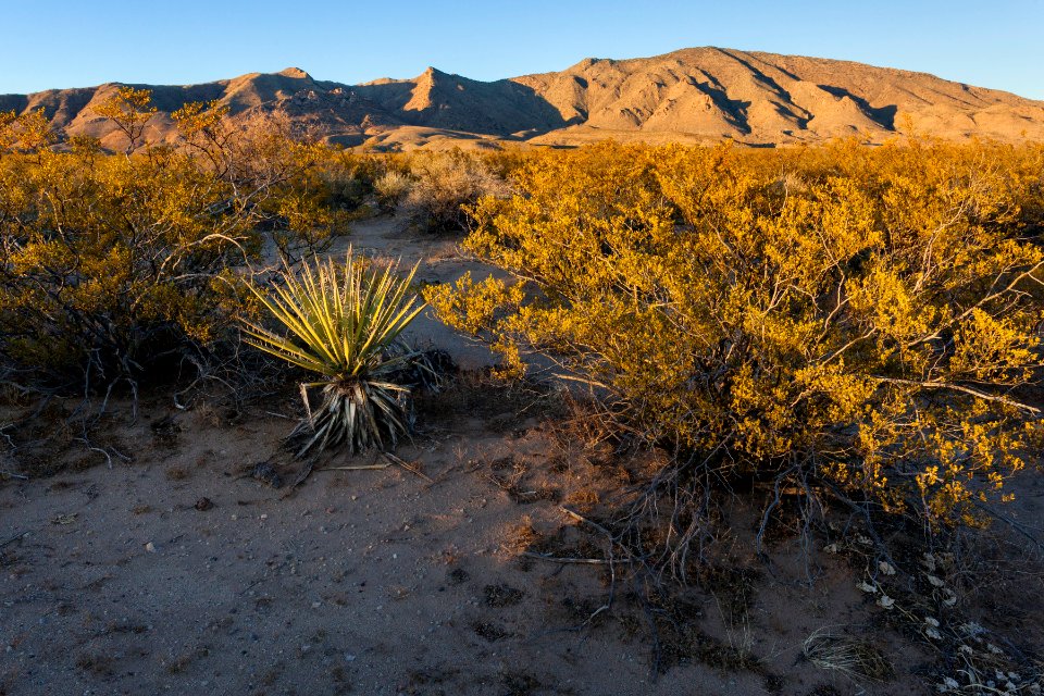 Northeast of Goat Ridge