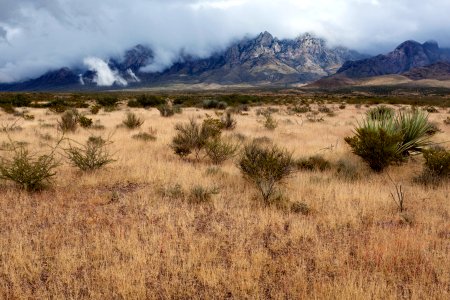 West bajada of the Organ Mountains