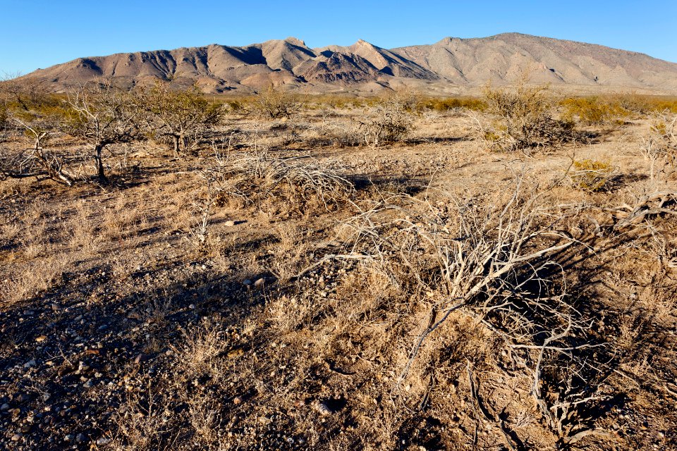 Northeast of Goat Ridge